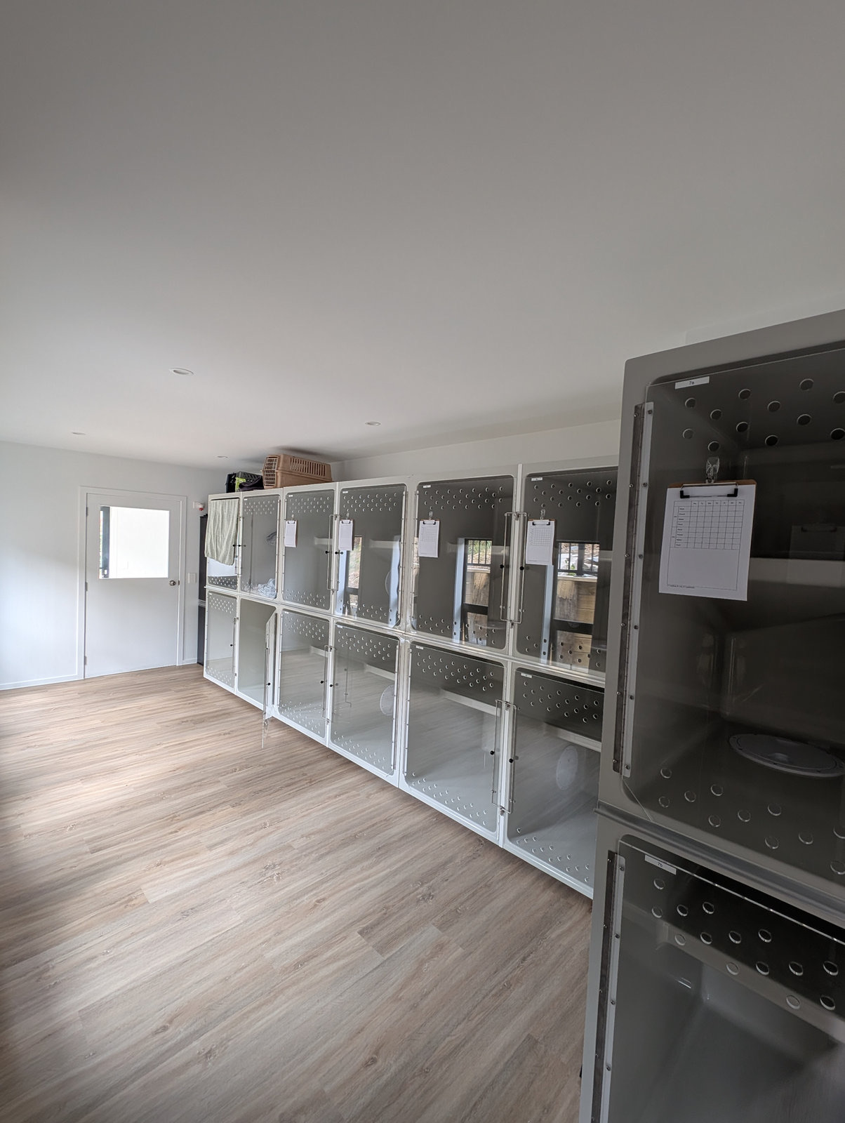 Condo room and playroom
